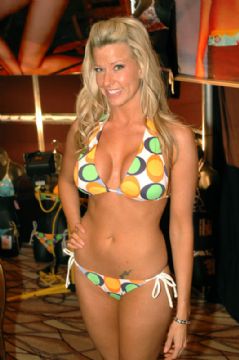 2009����ILS������Ȥ����չ�Ը�ģ��ͼƬ35