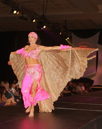 2008��������ILS������Ȥ����չ�Ը�ģ��ͼƬ18