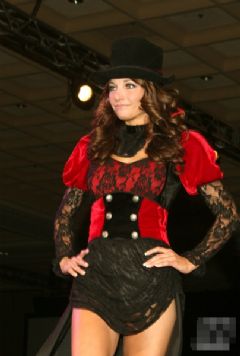 2008��������ILS������Ȥ����չ�Ը�ģ��ͼƬ43