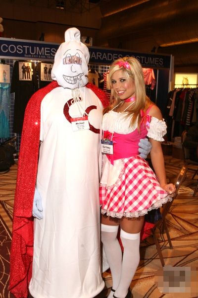 2008��������ILS������Ȥ����չ�Ը�ģ��ͼƬ41