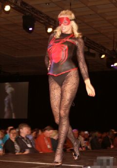 2008��������ILS������Ȥ����չ�Ը�ģ��ͼƬ49