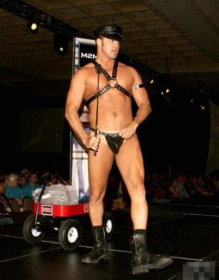 2008��������ILS������Ȥ����չ�Ը�ģ��ͼƬ53