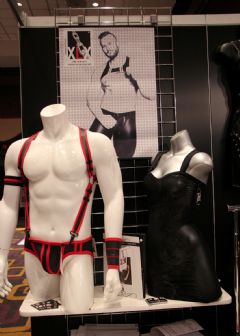 ����AltitudeIntimates��Ȥ����չ�Ը�ģ��ͼƬ24