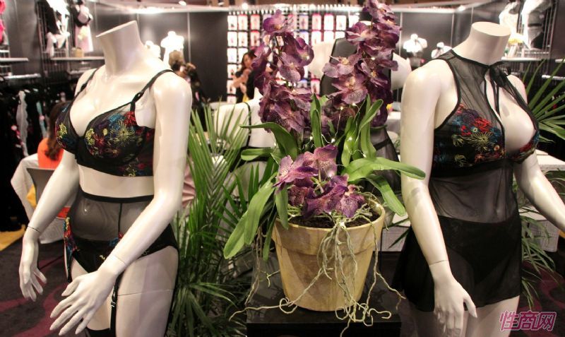 ����AltitudeIntimates��Ȥ����չ���ʼ���01ͼƬ18