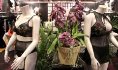 ����AltitudeIntimates��Ȥ����չ���ʼ���01ͼƬ18