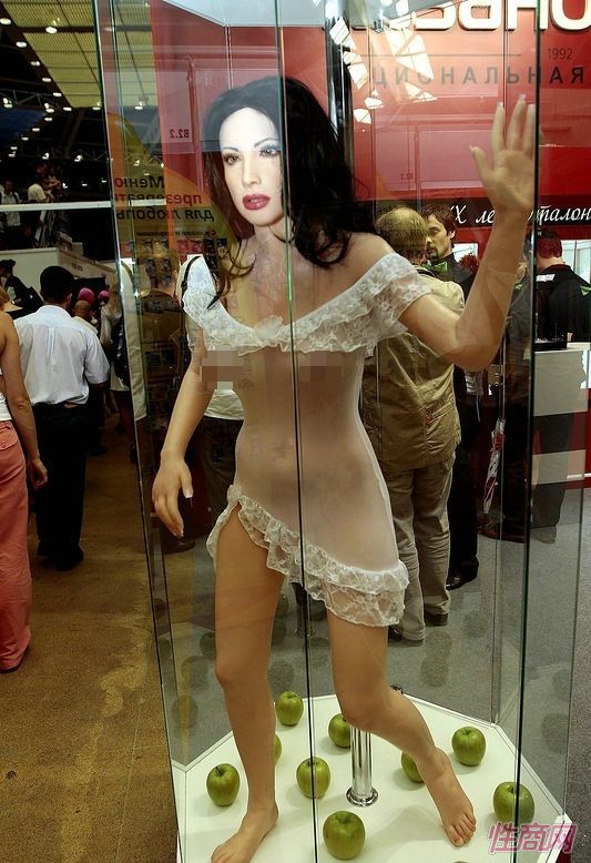 �轺ʵ������