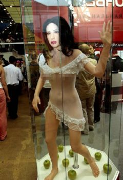 �轺ʵ������