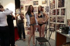 ģ��չʾ��Ȥ��Ʒ