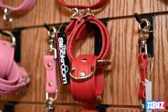 �ļ���ɼ������չanme����Ʒչʾ (35)