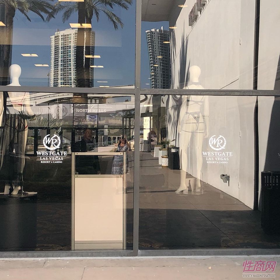 展会内衣_展会内衣模特抓拍图(3)