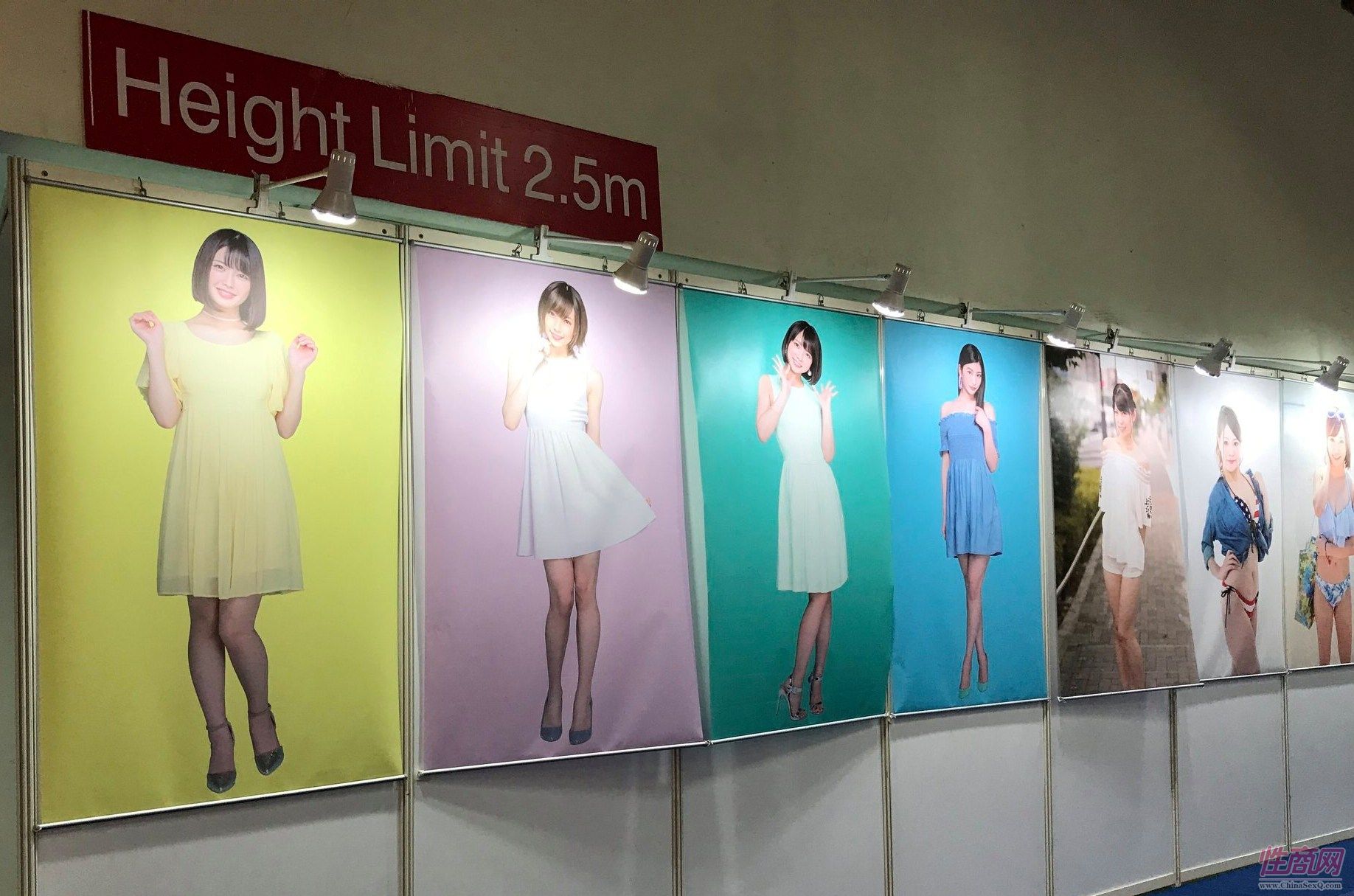 日本女优嘉宾大幅户外广告