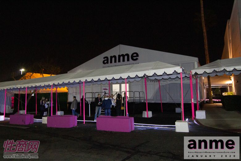 洛杉矶成人展ANME80年代主题派对 (7)