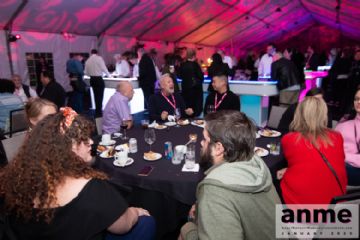 ��ɼ������չANME80��������ɶ� (100)