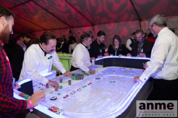 ��ɼ������չANME80��������ɶ� (110)