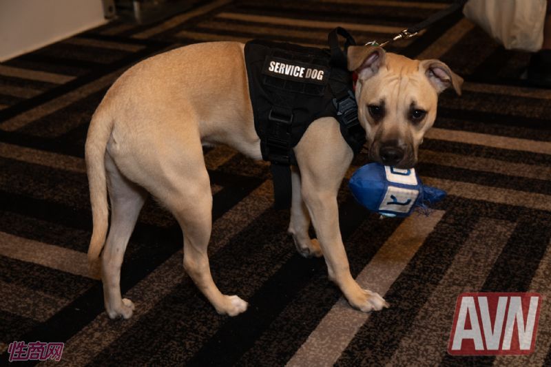 չ���ֳ��ķ���Ȯ