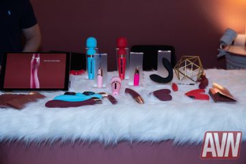 ��˹ά��˹������ҵչAVN��չ���ֳ� (64)