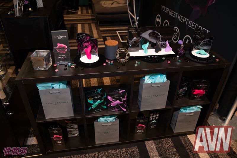 ��˹ά��˹������ҵչAVN��չ���ֳ� (65)