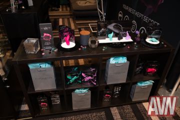 ��˹ά��˹������ҵչAVN��չ���ֳ� (65)