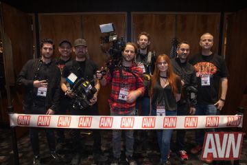 AVN�������ֲ�����Ļ���� (3)