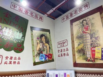 ����ӻ���-������ȫ��չ��