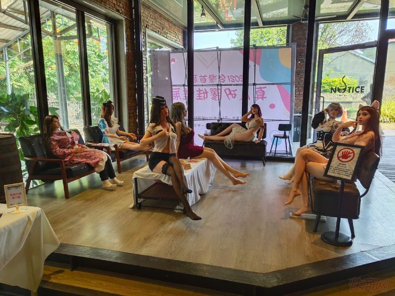 �轺����չ��