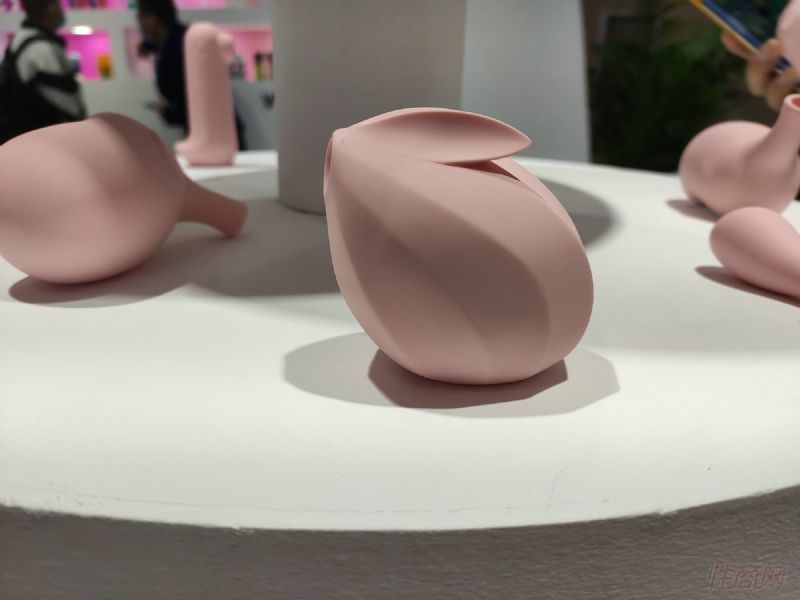 �������ӵ�˱�������