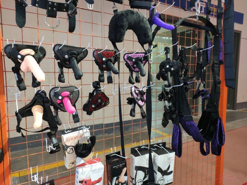 �Ϻ�API��Ȥ����չ�ֳ�˲�� (108)