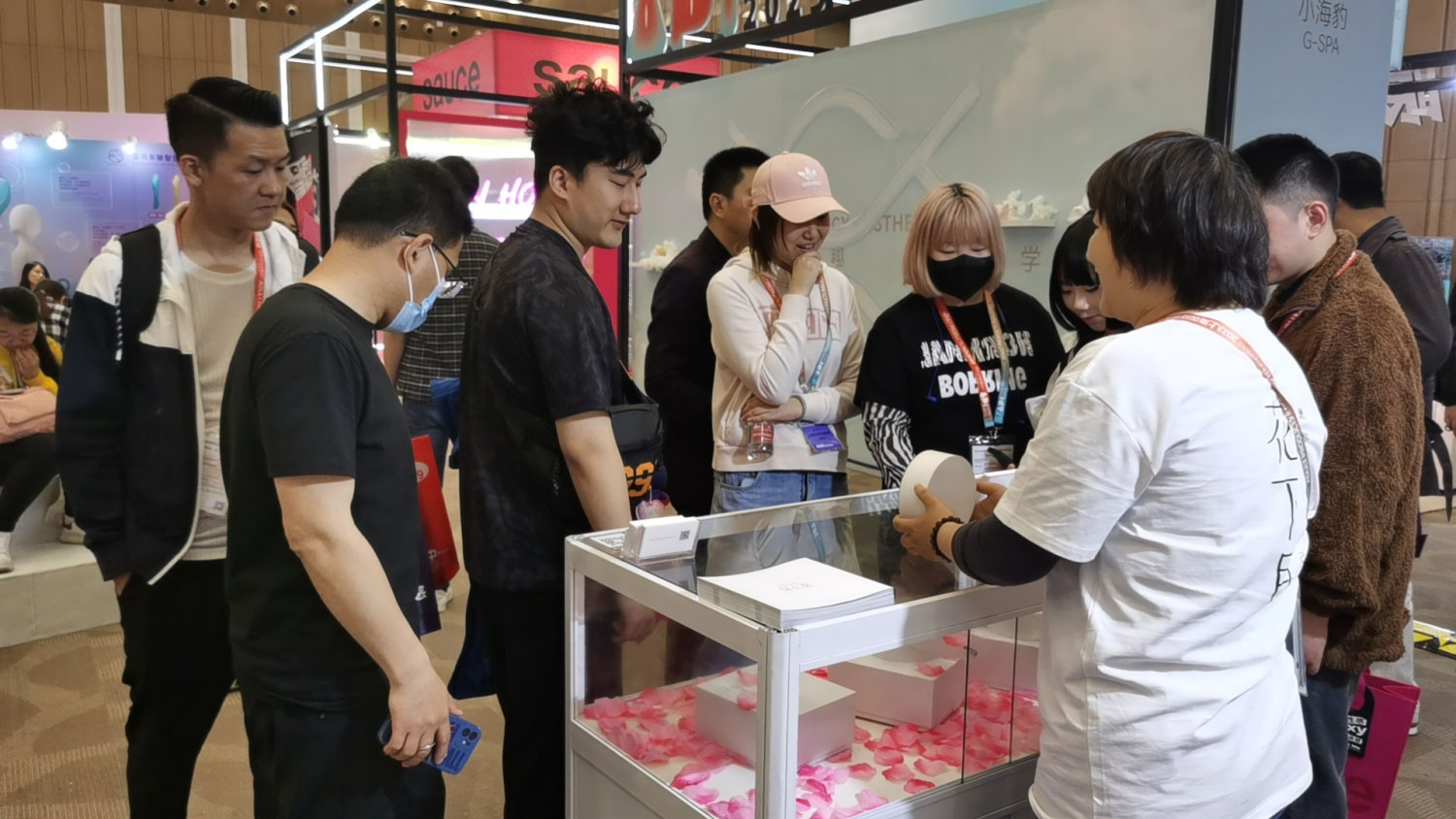 ������ѯ