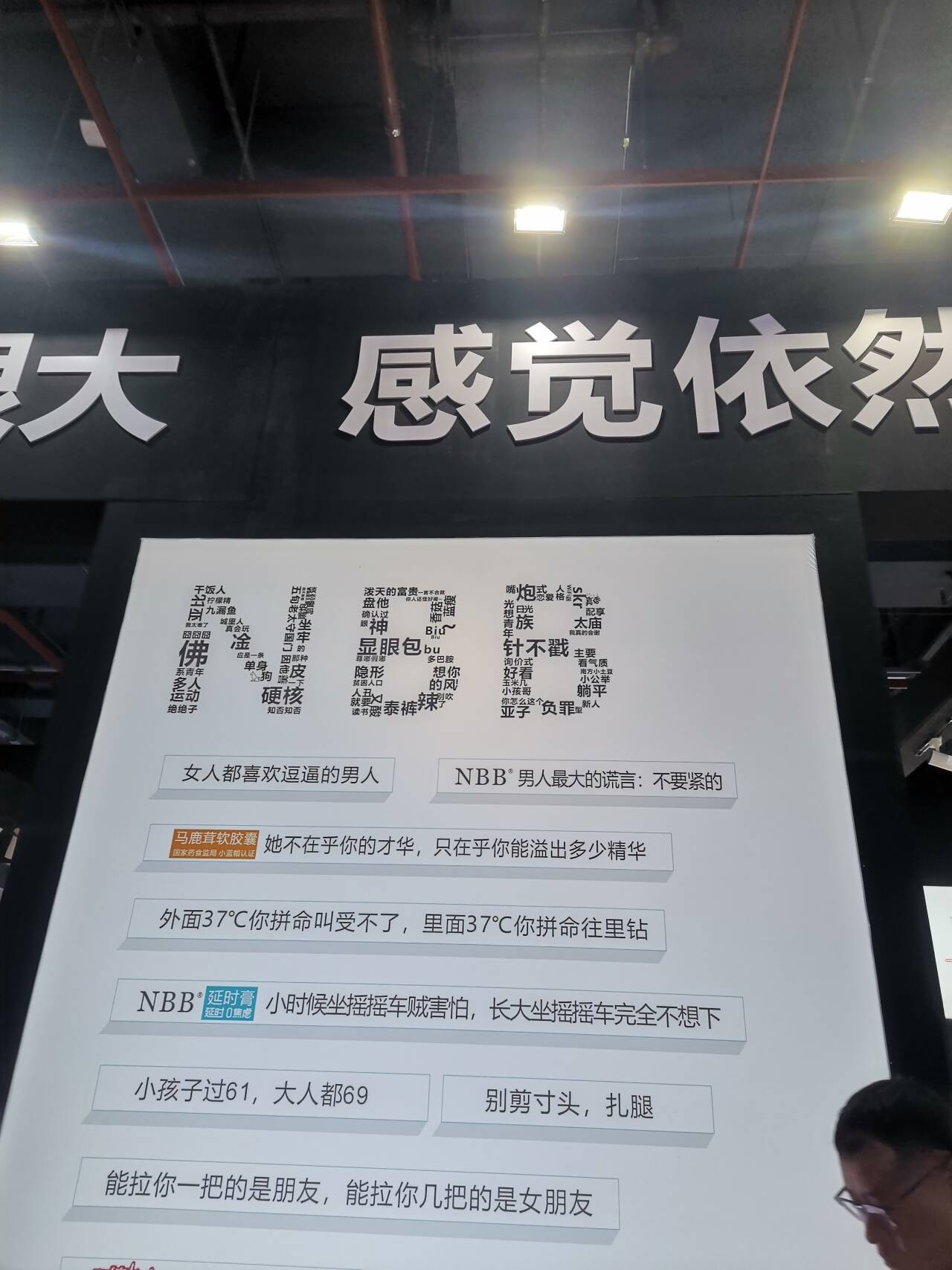 2024�ڶ�ʮ����������Ļ���Բ����ĻͼƬ43