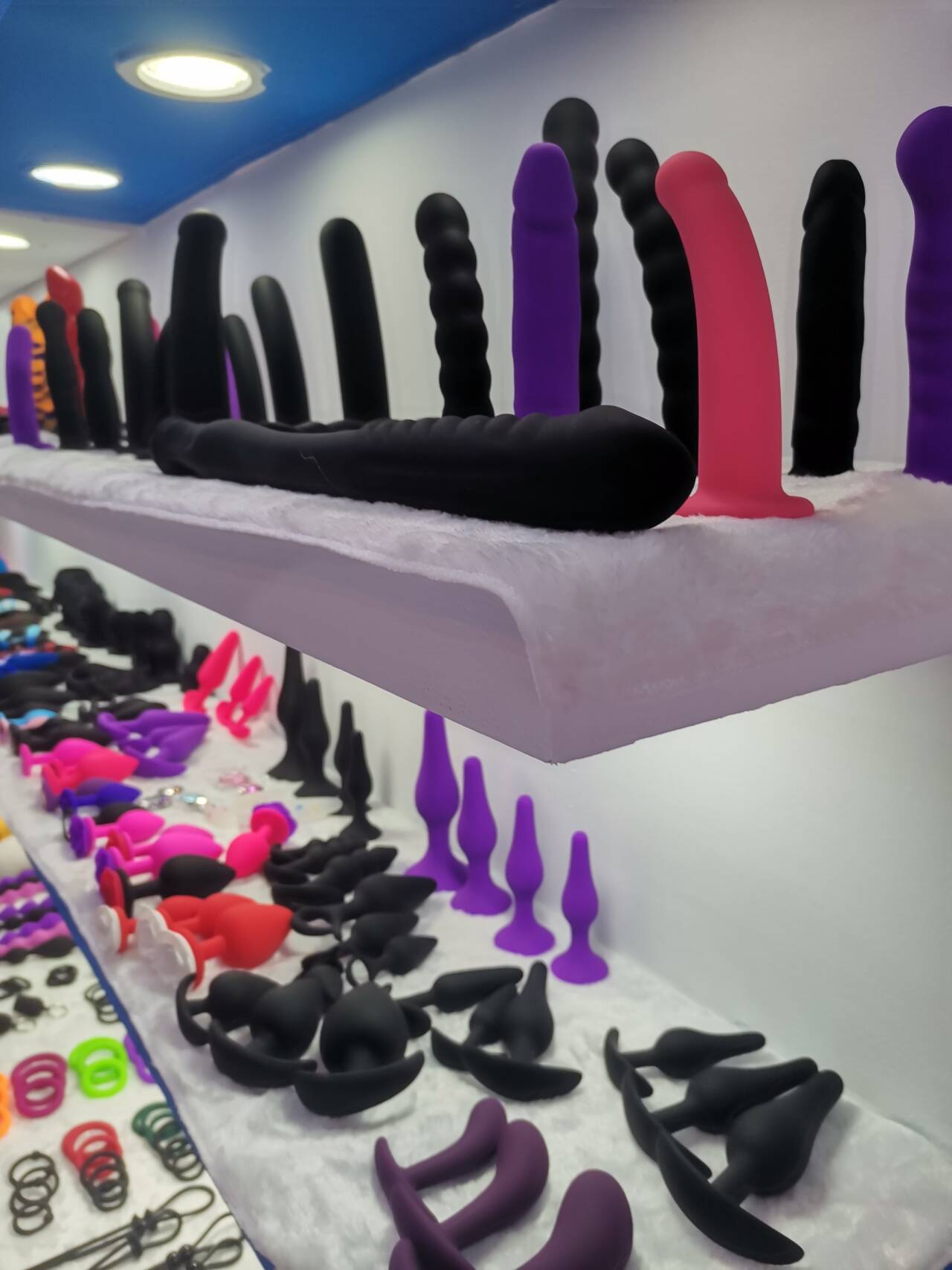 2024�ڶ�ʮ����������Ļ���Բ����ĻͼƬ80