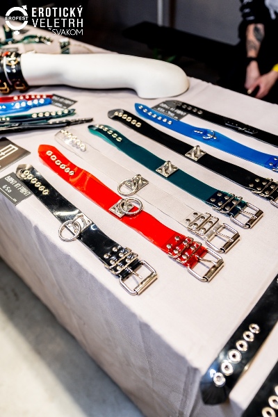 2024��ݿ˳���չ���ʷ׳�Բ����ĻͼƬ29