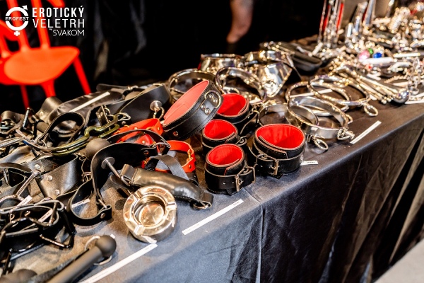 2024��ݿ˳���չ���ʷ׳�Բ����ĻͼƬ33