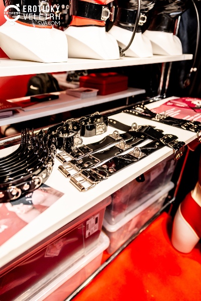 2024��ݿ˳���չ���ʷ׳�Բ����ĻͼƬ40