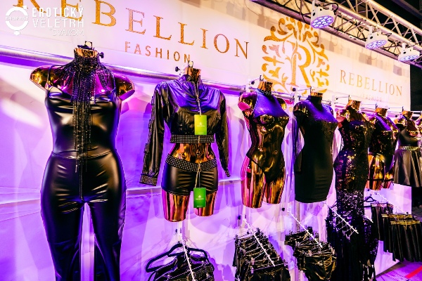 2024��ݿ˳���չ���ʷ׳��ֳ�����ͼƬ23