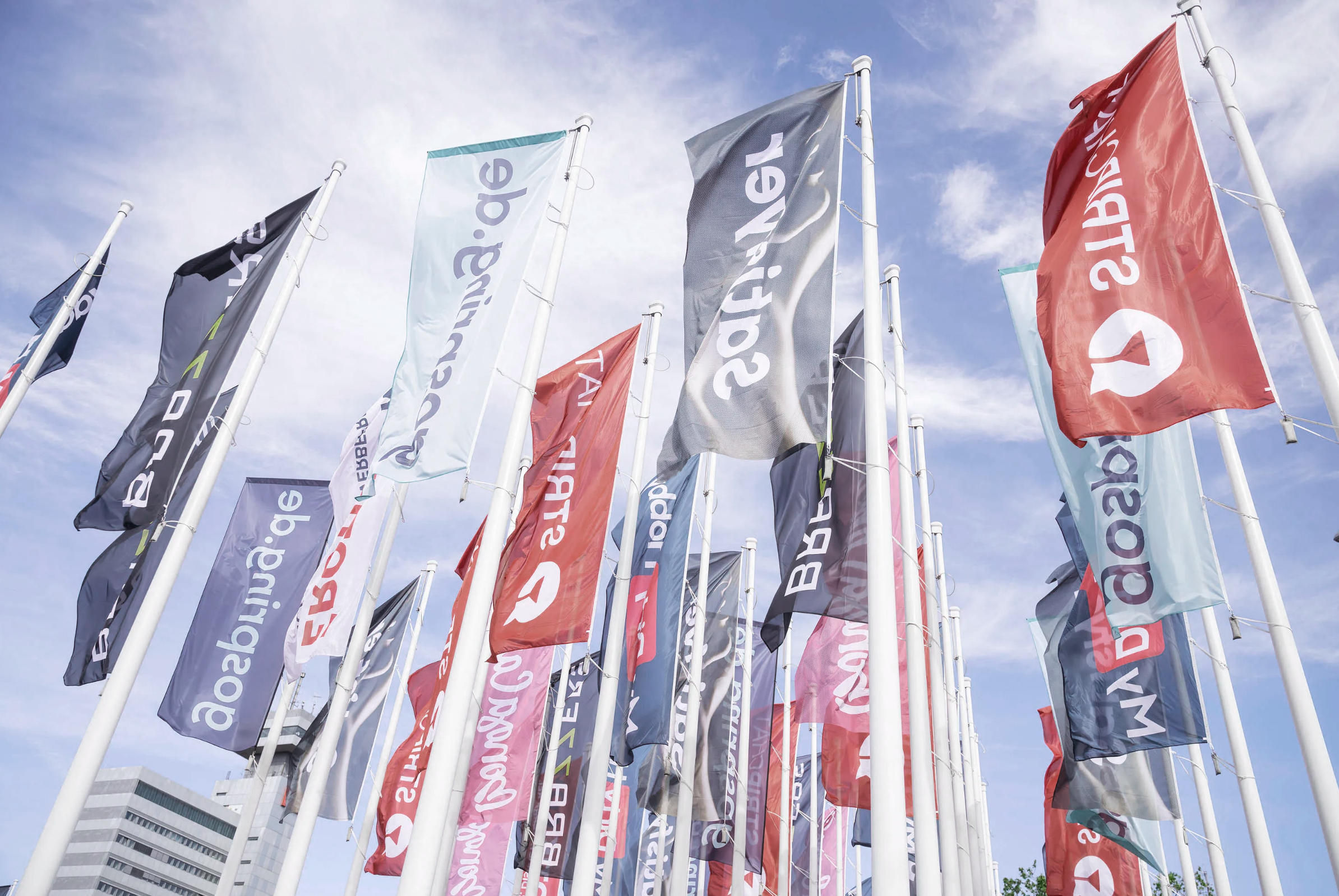 2025���ֹ��ʳ���չԲ����Ļ��������������ȫ��ͼƬ33