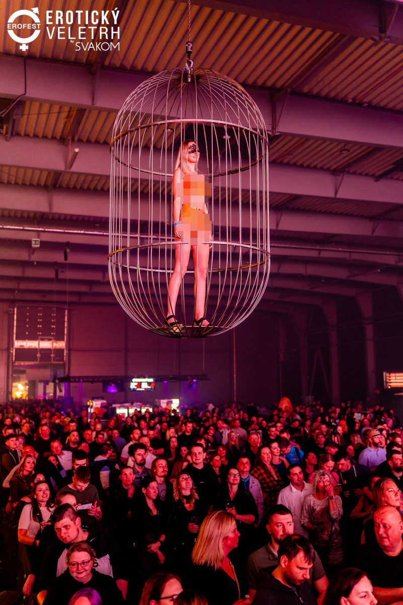 2025�ݿ���Ȥ��ƷչErofestԲ���ɹ�ͼƬ24