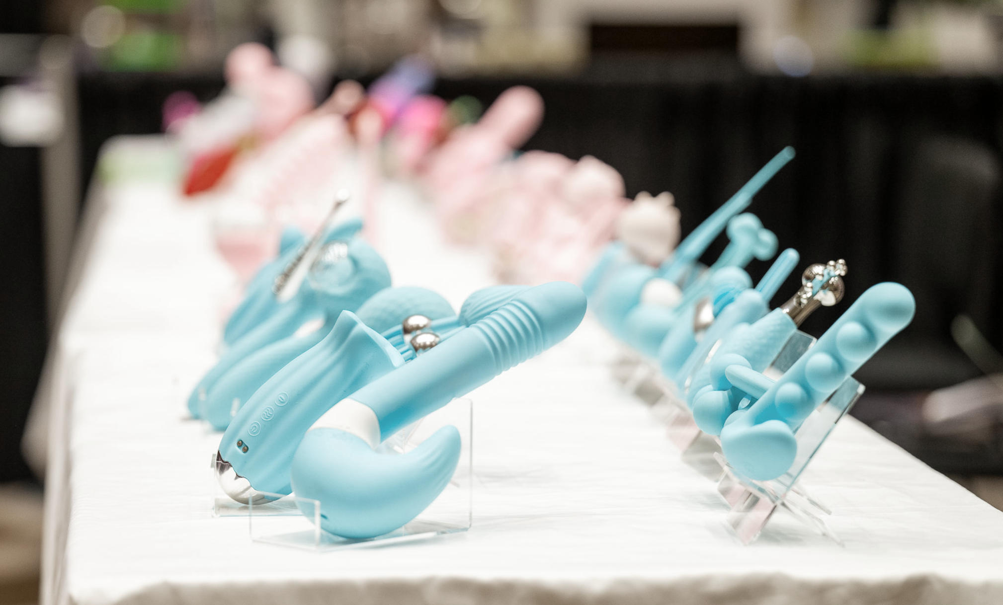 2025������˹ά��˹����չANV���ʼ���ͼƬ18