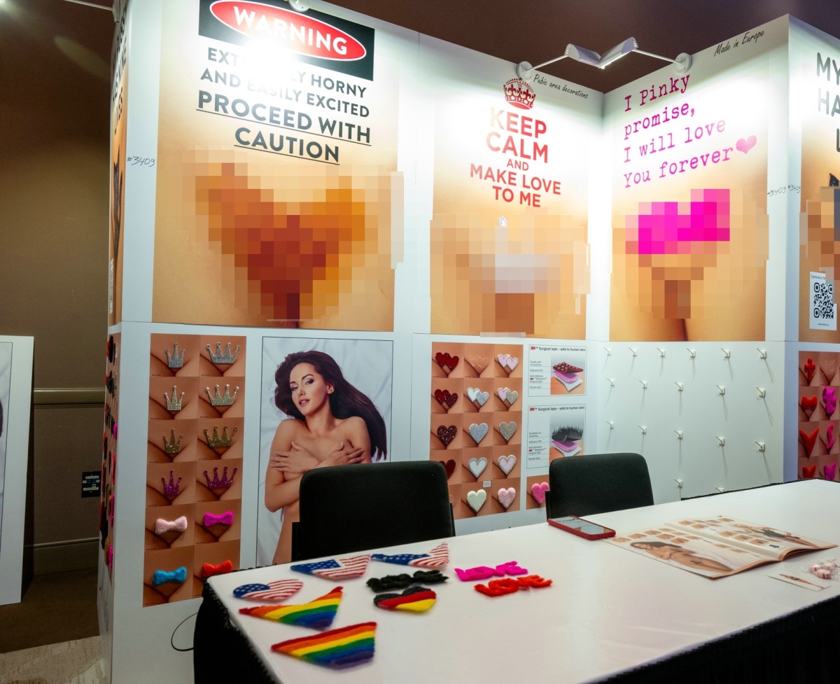 ������չ2026������˹ά��˹����չANVShow���ʼ���ͼƬ33