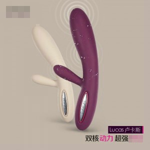 ����Svakom˾�ֿ�¬��˹�𶯰�Ħ����Ȥ��ƷŮ������ο������